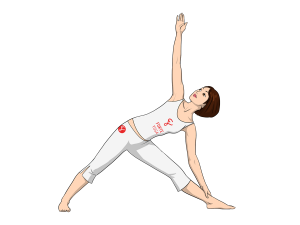 Extended Triangle Yoga Pose