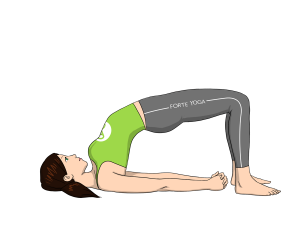 Bridge Yoga Pose