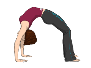 Upward Bow Yoga Pose or Wheel Pose