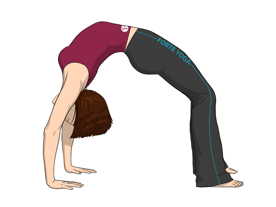 Upward Bow Yoga Pose or Wheel Pose - Forte Yoga